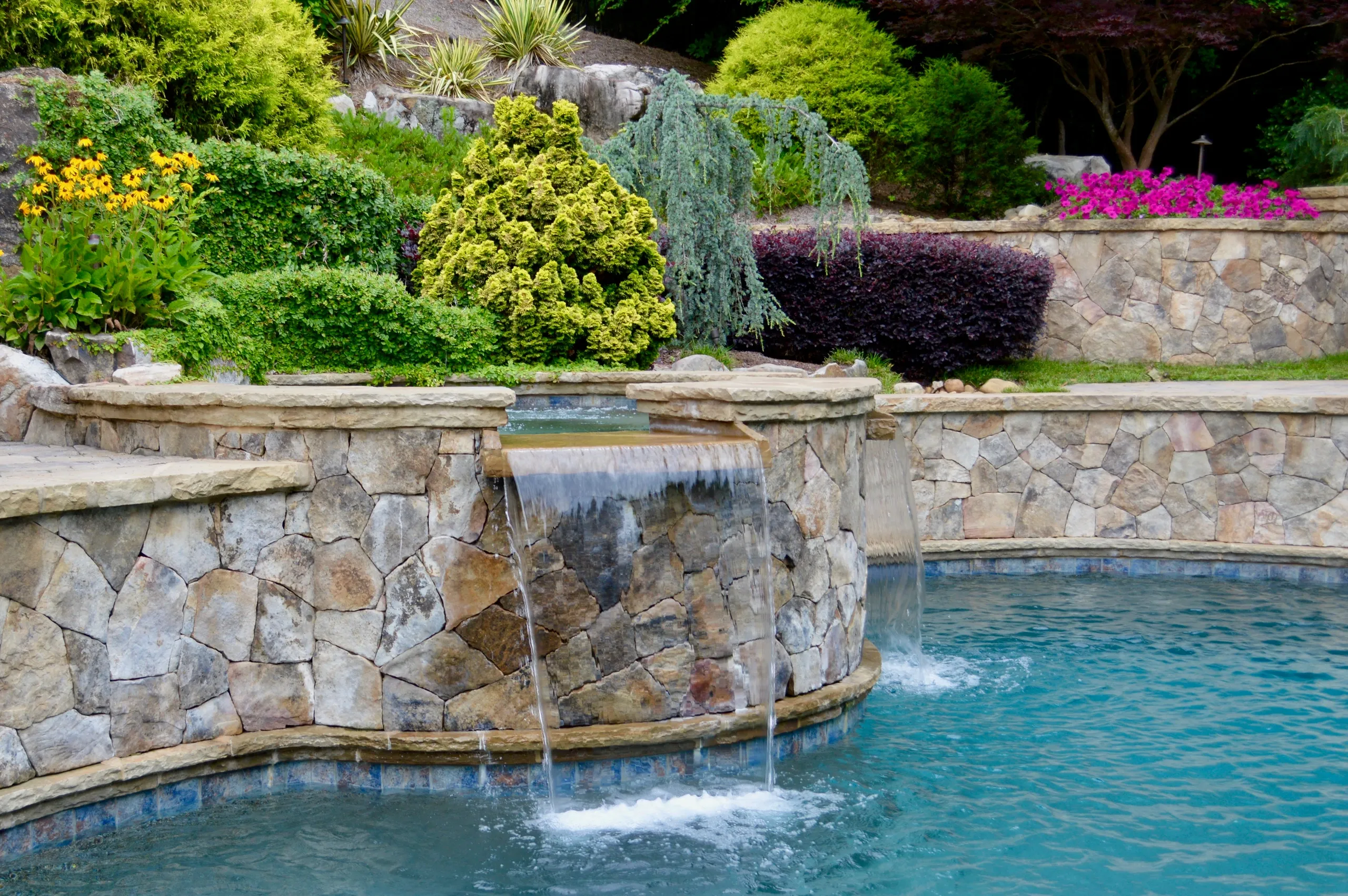 Pools & Spas photo
